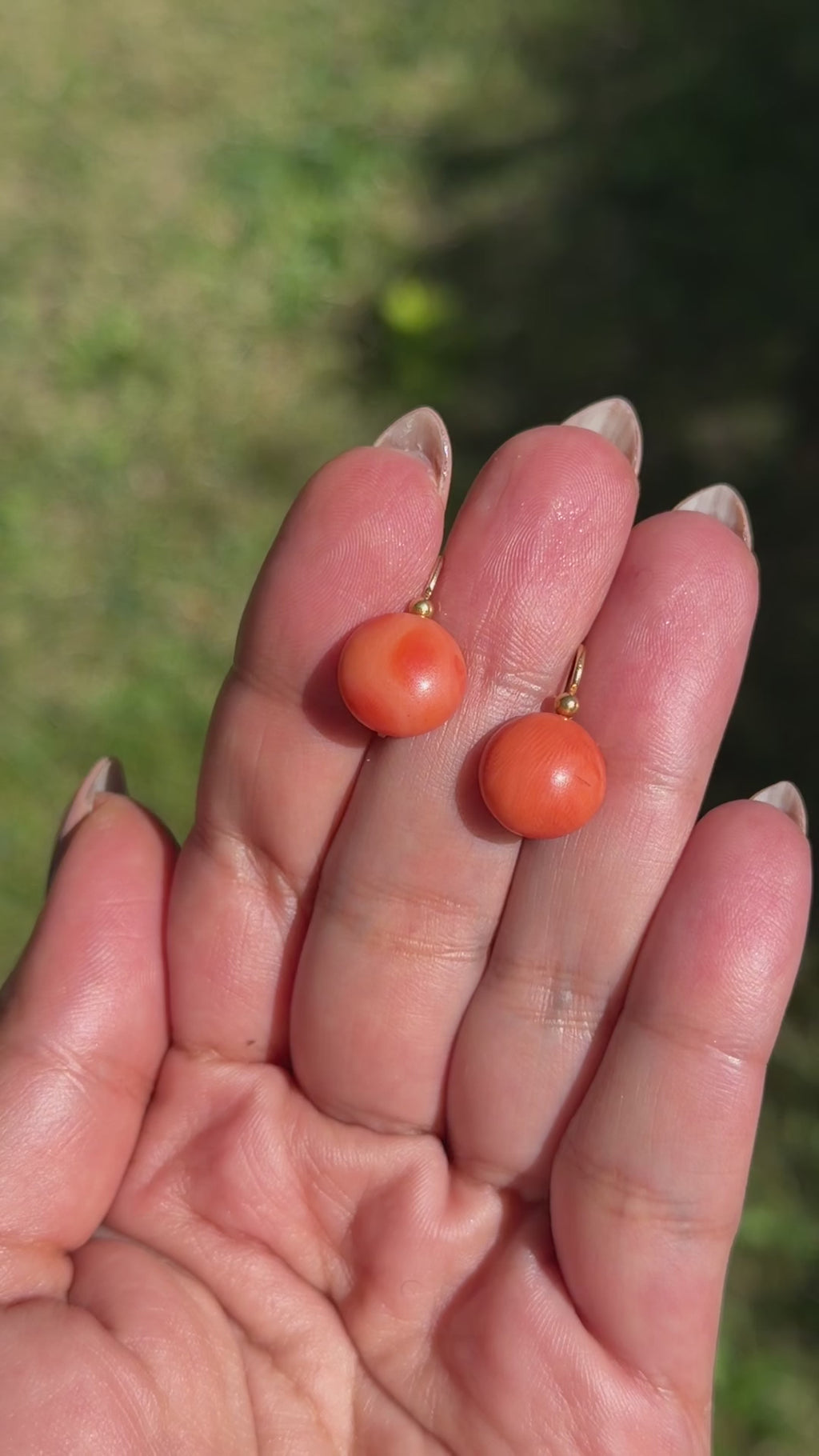 French 18k Yellow Gold Earrings with Natural Coral c.1900