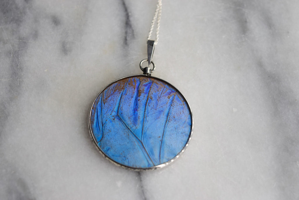 Antique Morpho Butterfly Wing Pendant Rare Large Size Sterling Silver