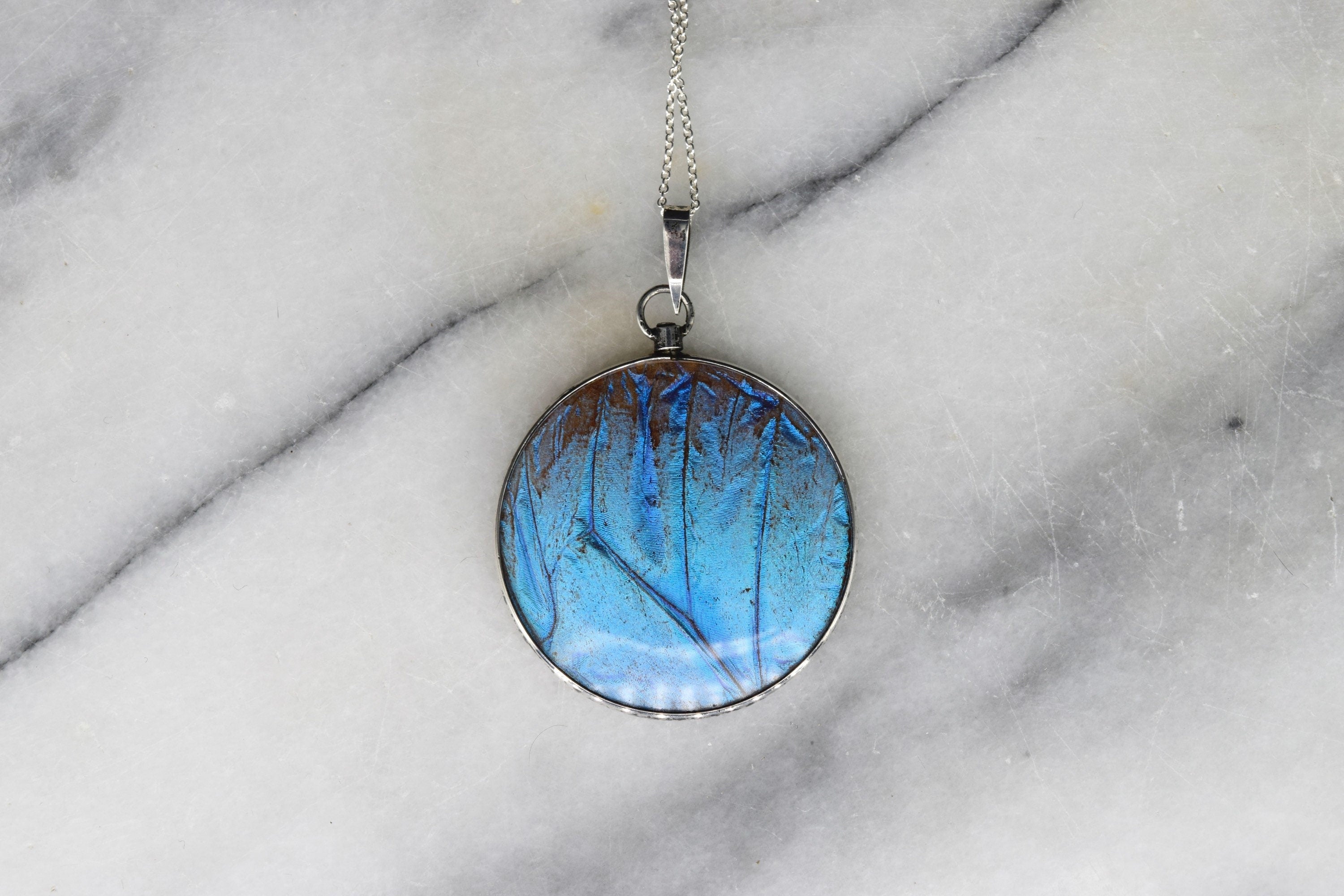 Antique Morpho Butterfly Wing Pendant Rare Large Size Sterling Silver