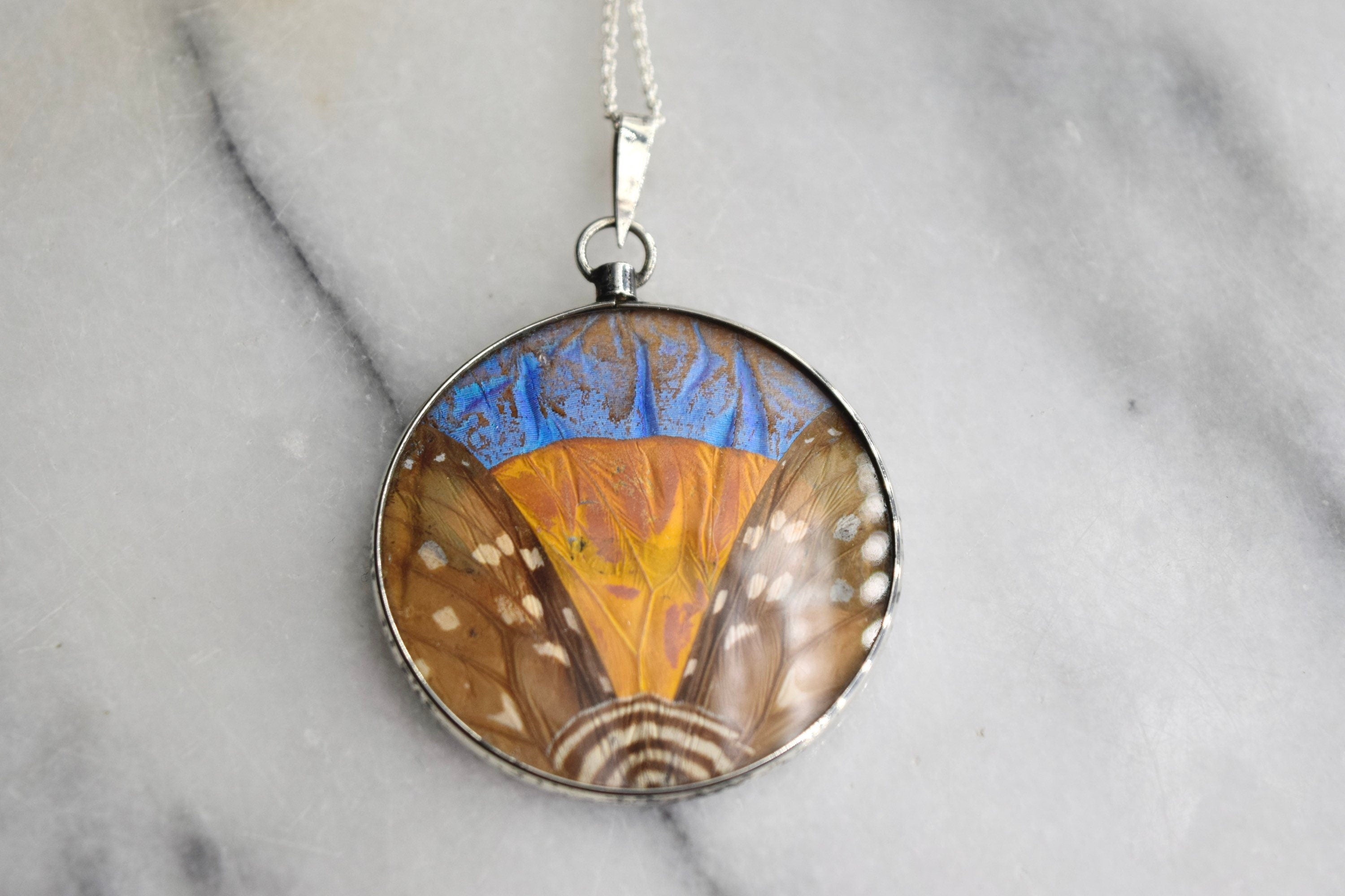 Antique Morpho Butterfly Wing Pendant Rare Large Size Sterling Silver