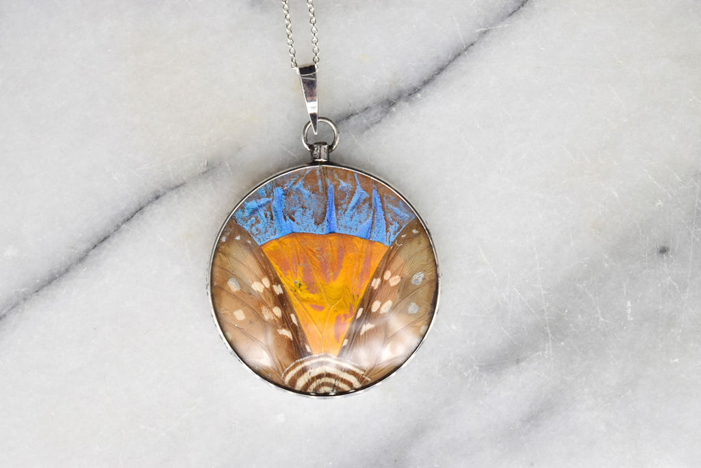 Antique Morpho Butterfly Wing Pendant Rare Large Size Sterling Silver