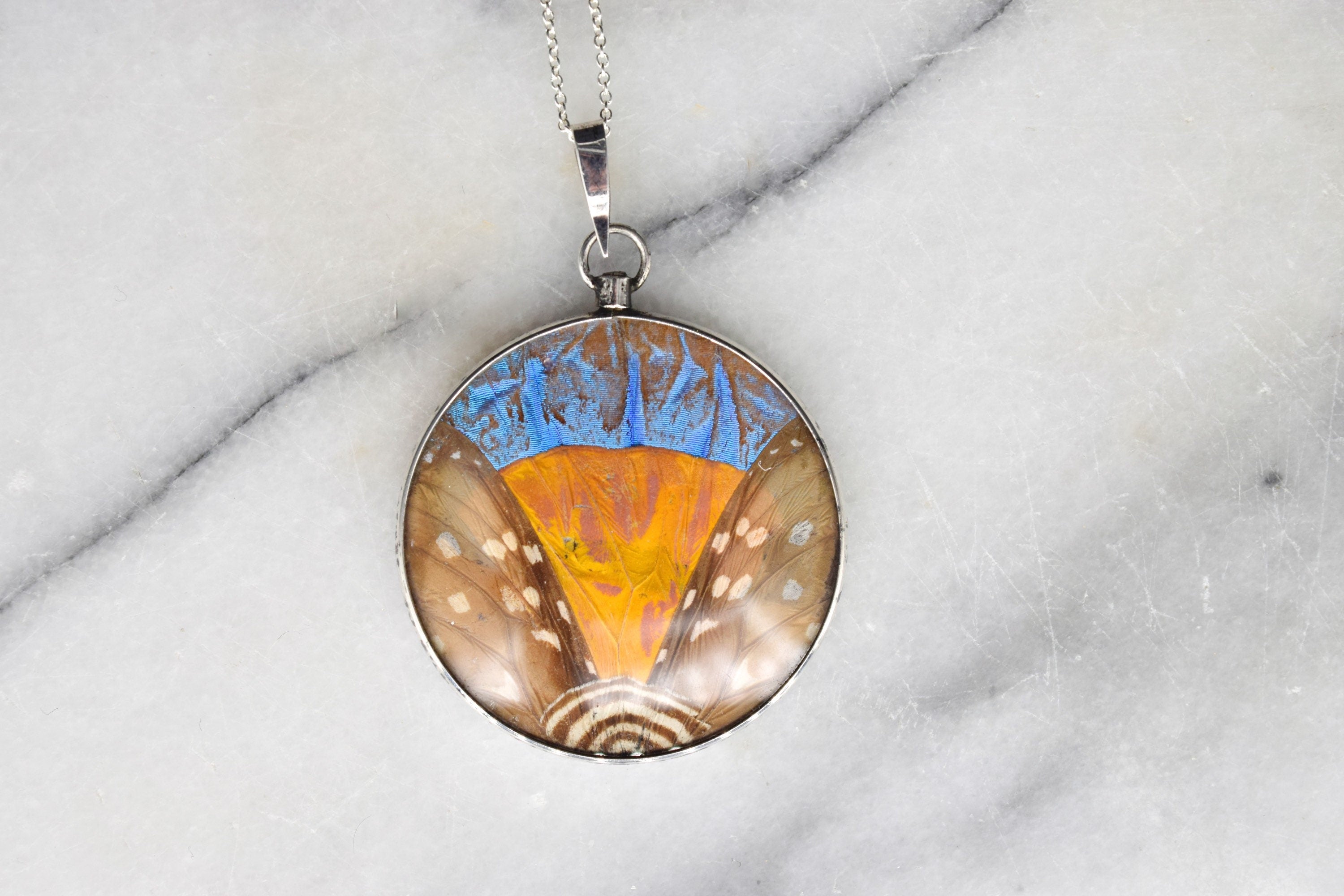 Antique Morpho Butterfly Wing Pendant Rare Large Size Sterling Silver